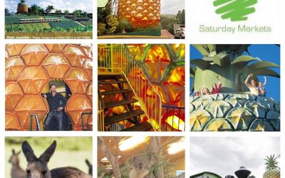 Tour The Historical Big Pineapple with the Fam!