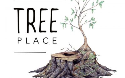 Visit the Noosa Regional Gallery and Find Your Inspiration